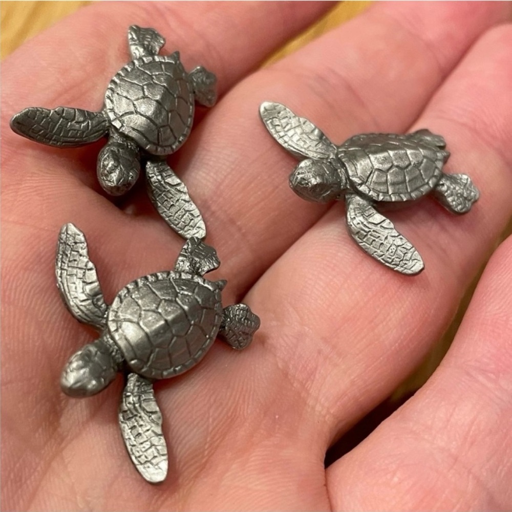 Metal Turtle Magnet Set - Picture 8 of 13
